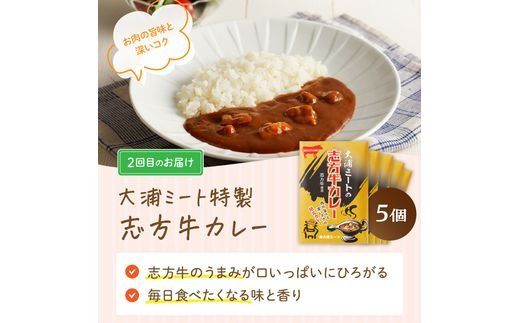 「肉のまち加古川」精肉店大浦ミートの本気の加工品！《 ハンバーグ カレー 定期便 惣菜 簡単調理 手軽 おかず 》【2501I00201】