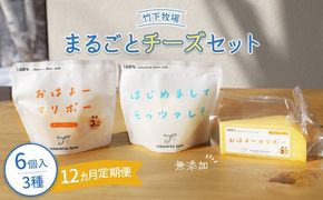 竹下牧場 takeshita farm【定期便12ヶ月】まるごとチーズセット 計560g【24025】