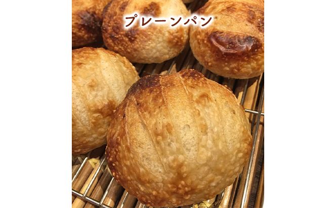 小麦由来酵母種パンバラエティセット 3種11個 