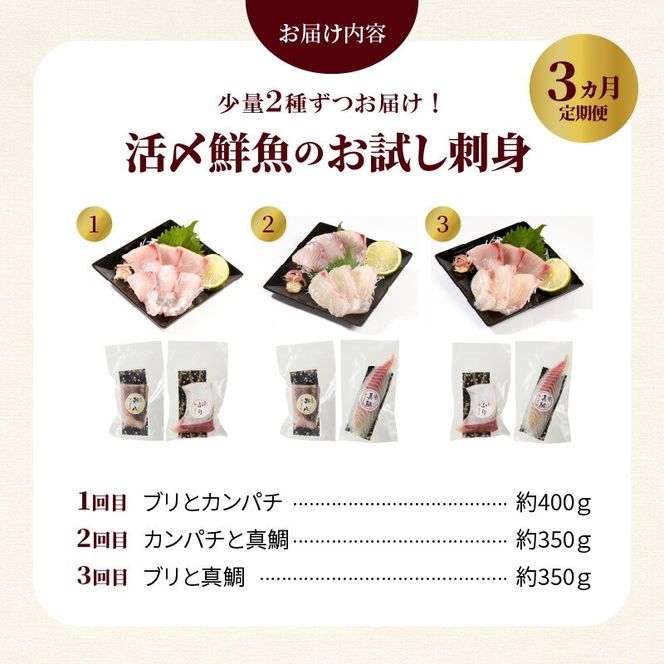 人気のお刺身3ヶ月定期便 少量2種ずつお届け N019-YC911