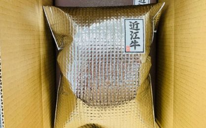 近江牛すき焼き・しゃぶしゃぶ用肩ロース【500g】＋近江牛ハンバーグ×3個【450ｇ（150ｇ×3個）】【AB65W】
