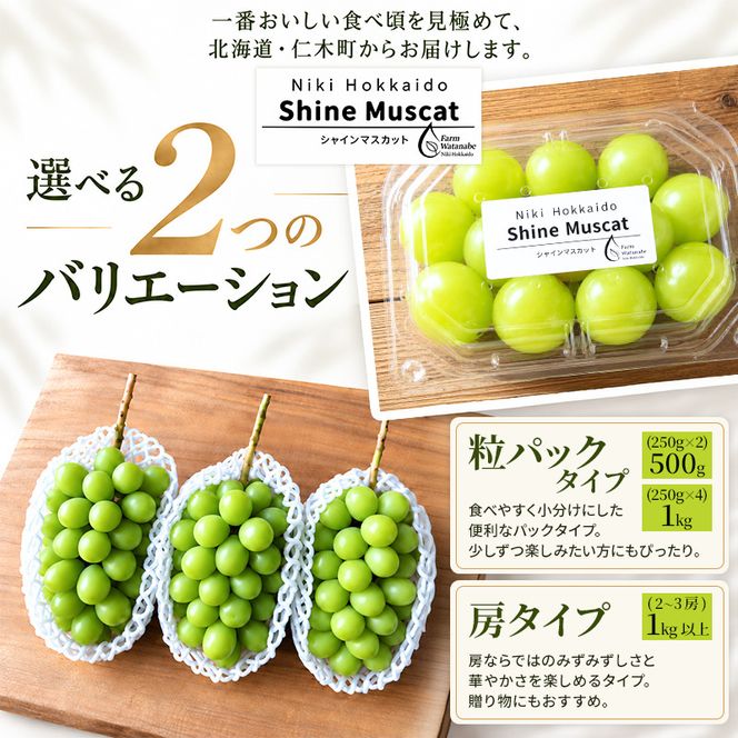 【2026年産】北海道 仁木町産 シャインマスカット 粒 1kg (250g×4) 化学肥料・除草剤不使用 ぶどう フルーツ 果物 くだもの [Farm Watanabe]