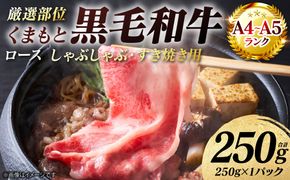 【A4～A5ランク】 【厳選部位】 くまもと黒毛和牛 ロース しゃぶしゃぶ すき焼き用 250g （250g×1パック） 和牛 牛肉 お肉 黒毛和牛 鍋 冷凍 おかず 熊本県 八代市