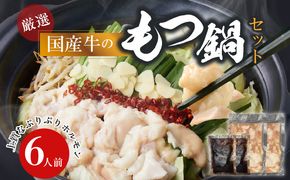 【食肉総合卸 丸正】厳選国産牛のもつ鍋セット（6人前） ［153M17］ 