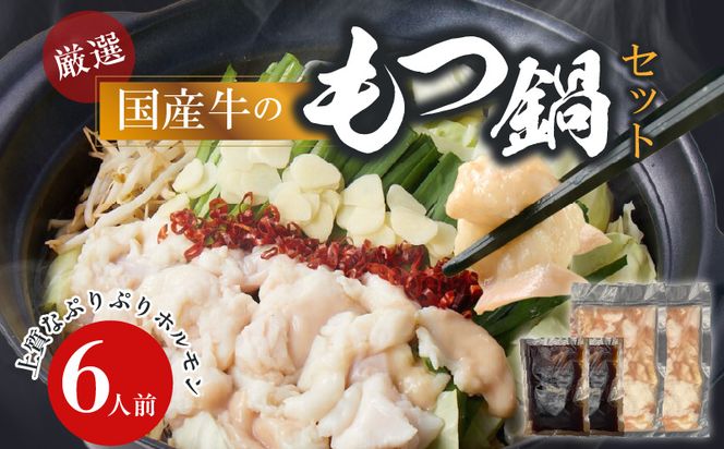 【食肉総合卸 丸正】厳選国産牛のもつ鍋セット（6人前） ［153M17］ 
