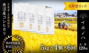 ＜定期便・全6回＞【令和7年産】魚沼産コシヒカリ「イネノハ 」精米(5kg×4)×6回 お米 白米 ご飯 産地直送 ミネラル 栄養分 こだわり 人気 新鮮 