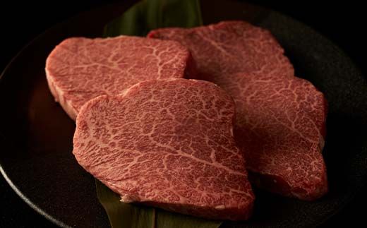 【定期便・3回】飛騨牛 ステーキ用シャトーブリアン150g×3 すきやき用サーロイン250g×2 しゃぶしゃぶ用モモ肉250g×2 飛騨牛 牛 牛肉 和牛 黒毛和牛 国産牛 F4N-2609