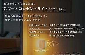 099H3462 インテリアに調和するコンセントライト（ナチュラル）