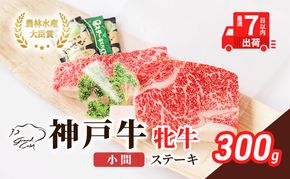 【最短7日以内発送】 神戸ビーフ 神戸牛 牝 ステーキ 小間 300g 川岸畜産 焼肉 冷凍 肉 牛肉 すぐ届く お肉 和牛 食材 グルメ ブランド牛 日本産 国産 夕飯 晩御飯 夜ごはん