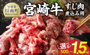 ※グラムが選べる※ 宮崎牛すじ肉煮込み用 【 肉 宮崎 煮込み 牛肉 おかず 宮崎牛 】 [B13210 B13211 B13212]