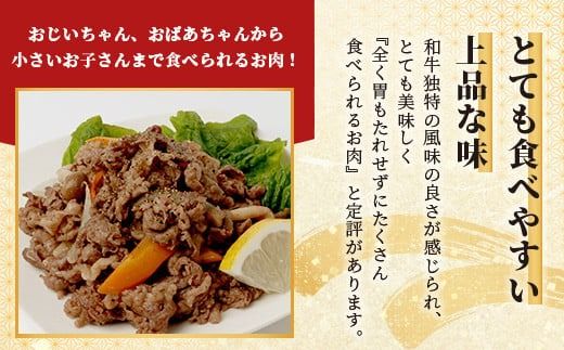 石垣島産 黒毛和牛 新里牛 多用途抜群！ 切落し (500g×1) 500g SZ-13