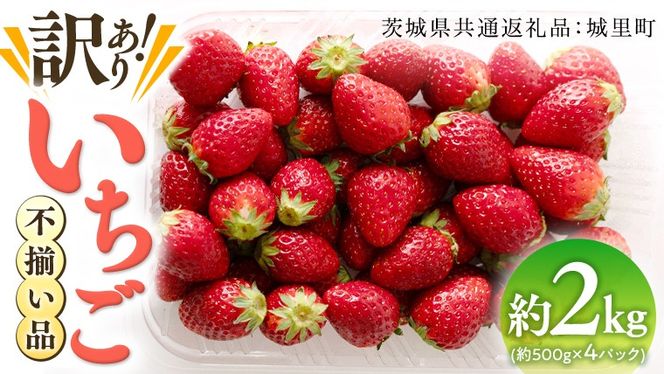 （訳あり）いちご 2kg（500g×4パック）【1月から発送開始】（茨城県共通返礼品 [いちご]：城里町） 果物 フルーツ 苺 イチゴ 不揃い わけあり 先行予約 家庭用 アレンジ お菓子作り スイーツ [BI369-NT]