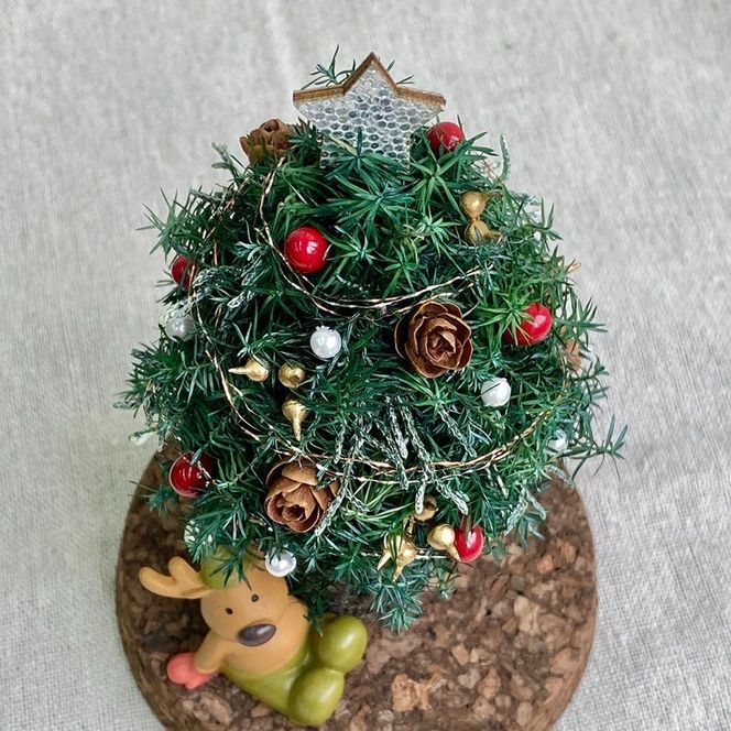 プリザーブドフラワー　レンヌ　春日部市　シュガーパイン(AJ265)