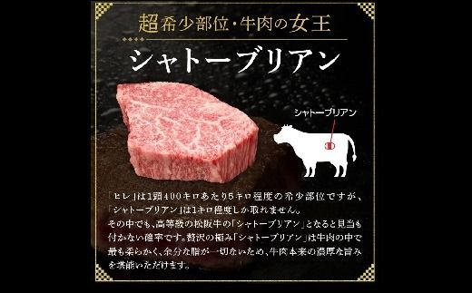 【4.8-3】松阪牛 A5 シャトーブリアンステーキ 240g（120g×2枚）　( 牛肉 ブランド牛 高級 和牛 国産牛 松阪牛 松坂牛 ステーキ ヒレ シャトーブリアン 牛肉 ステーキ 松阪牛 牛肉 ステーキ シャトーブリアン 松阪牛 ステーキ 冷凍 人気 おすすめ ランキング 三重県 松阪市 松阪牛 シャトーブリアン )