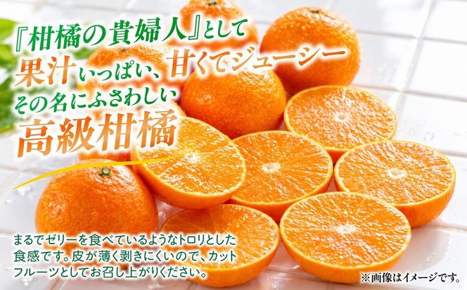 【先行予約】【数量限定】田縁農園の岬（はな）まどんな（生果）3kg （2026年11月25日より順次発送） IKTA003