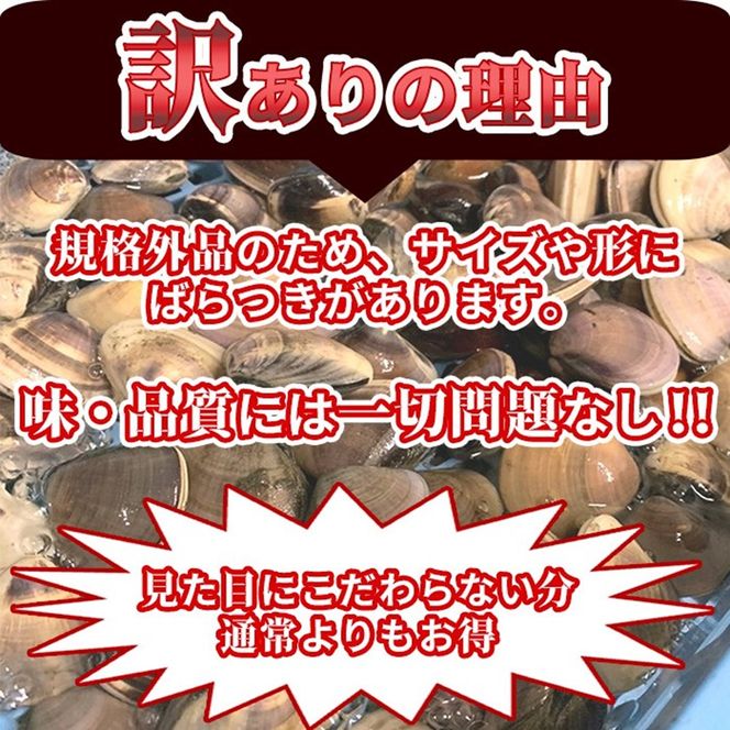 訳あり はまぐり 規格外 大はまぐり 10パック 計 4kg 貝 海鮮 魚介 海の幸 ハマグリ 蛤 海産物 国産 天然 産地直送 千葉県 九十九里 九十九里浜