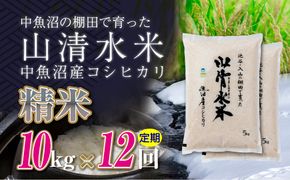 【定期便／全12回】精米10kg　新潟県魚沼産コシヒカリ「山清水米」十日町市 米