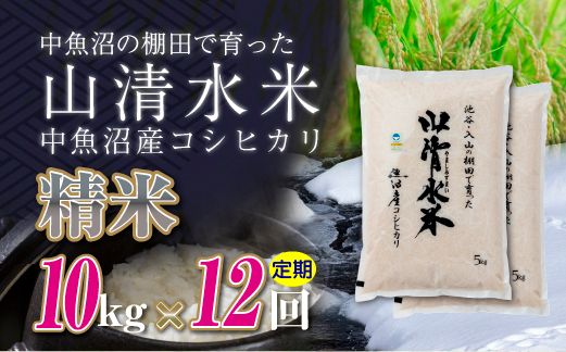 【定期便／全12回】精米10kg　新潟県魚沼産コシヒカリ「山清水米」十日町市 米