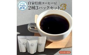 【CF-R7hbk】自家焙煎コーヒー豆2種3パックセットB フィルター付き 各150g×3P 計450g コロンビア×2P タンザニア×1P 珈琲 珈琲豆 焙煎 中深煎り～深煎り コク 飲みやすい チャック付き ドリンク