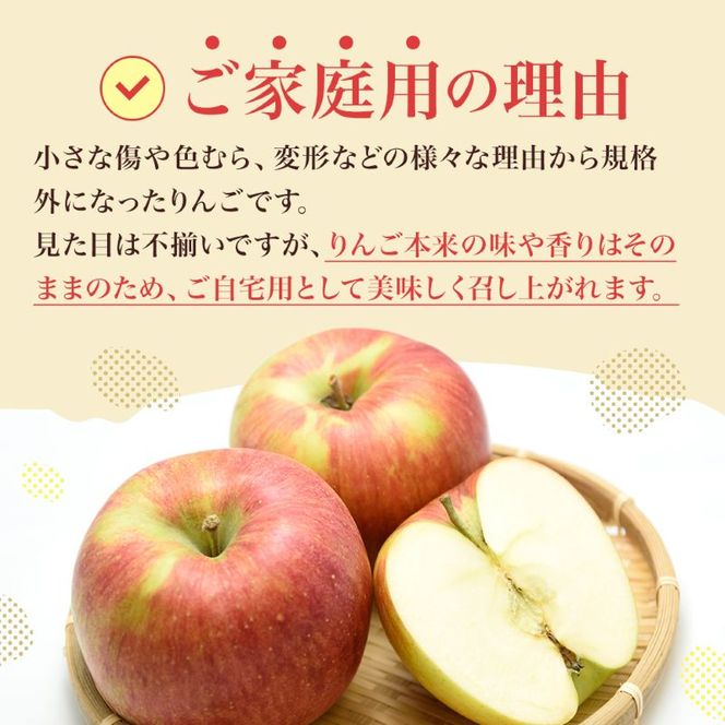 【2026年10月中旬～発送予定】 先行予約 訳あり りんご シナノスイート 約10kg 24～40玉入 家庭用 フルーツ 果物 甘い 訳あり おいしい 林檎