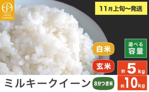 ミルキークイーン 白米 玄米 8分つき米 約5kg 約10kg 選べる 精米方法 内容量 [ おぶせファーマーズ ] お米 コメ おこめ ご飯 精米 長野県産[2025年11月上旬〜発送]