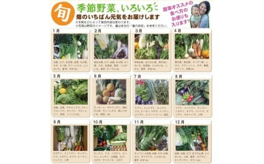 旬の季節野菜セット(10～12品目)&平飼い玉子10個