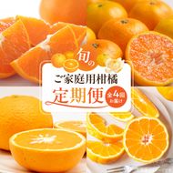 G60-T98_【発送月固定定期便】紀州和歌山産旬のご家庭用柑橘セット(みかん・不知火・せとか・清見)全4回
