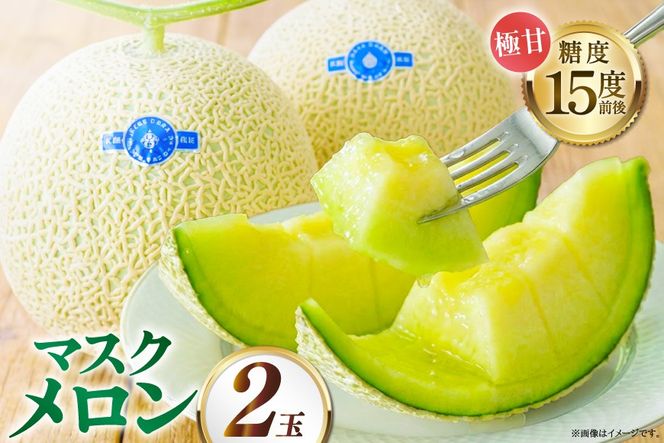 【期間限定発送】AA048 その道一筋の生産者がじっくり丁寧に育てた マスクメロン 2玉入
