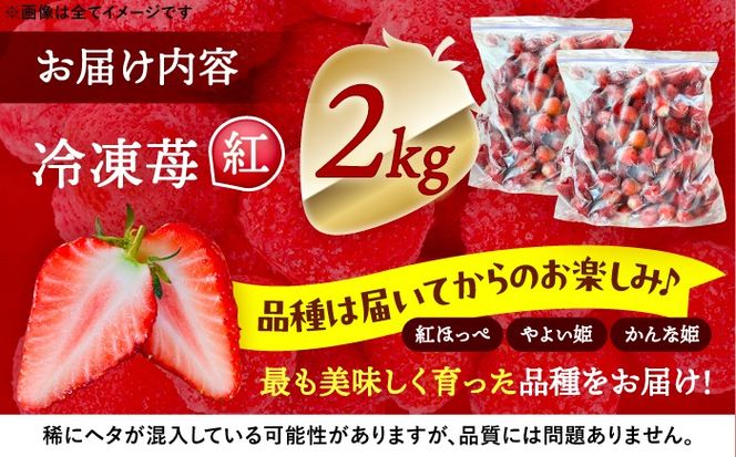 ymszⓀ 2kg ʕ t[c gق 悢P ȕP s / 䕔_ yzBsFz[AECJ026]