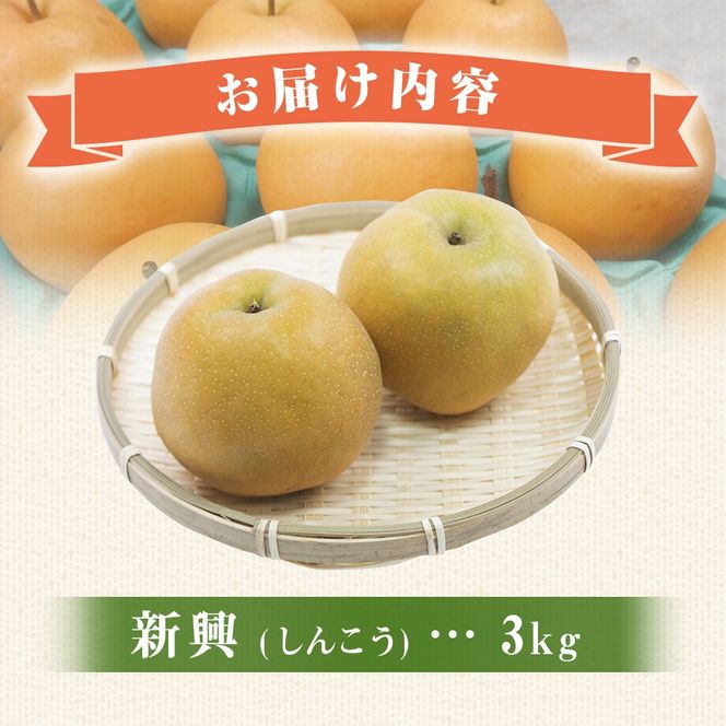 【産直もぎたて】里山のもぎたて新興梨 3㎏（国産 フルーツ 果物 くだもの 梨 ナシ 新興 旬 限定）