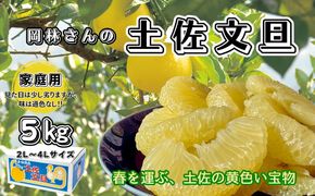 香る！さっぱり！岡林さんの土佐文旦　家庭用5kg