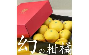 【先行予約】秀品 ☆高知産 土佐文旦☆ 3L 8玉入【贈答用】〈2027年1月下旬頃より順次発送〉/ 柑橘 フルーツ 先行予約 ぶんたん ブンタン 果物 お取り寄せ【TAMURAKAJUEN】