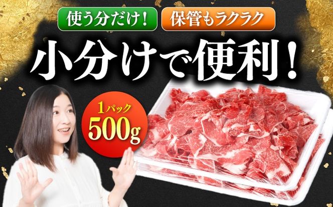 【2026年1月～順次発送】国産 黒毛和牛 熟成肉 切り落とし計1kg（500g×2パック）/ 小分け 国産牛 お肉 牛肉 切落し 冷凍 焼肉 すき焼き / 南島原市 / ふるさと企画[SBA093]