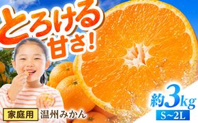 【11月末〜発送】温州みかん 3kg（S〜2L） / みかん ミカン 蜜柑 フルーツ 果物 旬 先行予約 柑橘 産地直送 家庭用 国産 / 南島原市 / 株式会社マルハチ[SFG003]