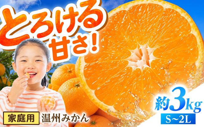 【11月末〜発送】温州みかん 3kg（S〜2L） / みかん ミカン 蜜柑 フルーツ 果物 旬 先行予約 柑橘 産地直送 家庭用 国産 / 南島原市 / 株式会社マルハチ[SFG003]