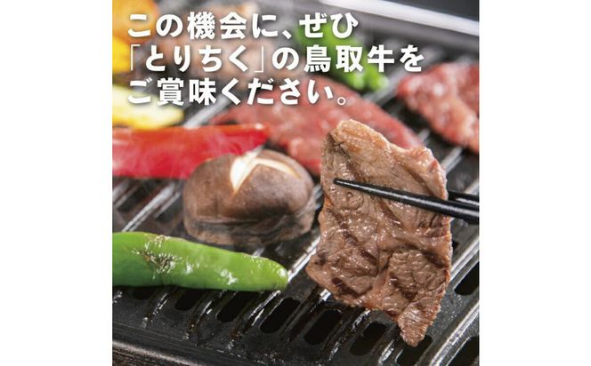 鳥取牛サンカクバラ焼肉用 600g（冷凍） 312011_CA005