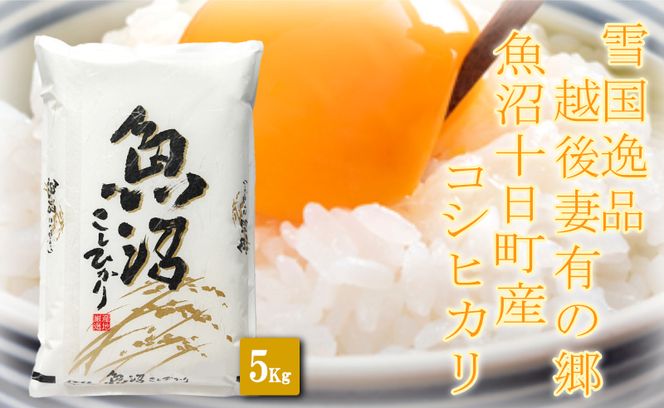 【令和8年産 先行予約】【雪国逸品5kg】 越後妻有の郷 魚沼十日町産コシヒカリ お米 白米 ご飯 産地直送 ミネラル 栄養分 こだわり 人気 新鮮