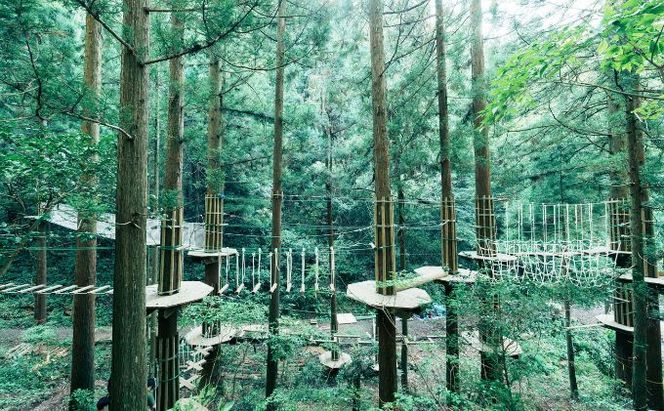 チャレンジコース　チケット 体験 レジャー フィールドアスレチック 子供 観光 アクティビティ 自然と遊ぶ 