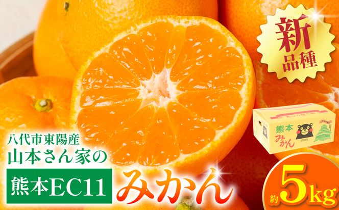 【先行予約】 八代市東陽産山本さん家の「熊本EC11みかん」 約5kg みかん 柑橘 フルーツ 果物 果実 ミカン 蜜柑 熊本県 八代市 【2026年11月上旬より順次発送】