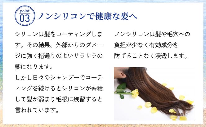 塩とハイビスカスのシャンプー「ぬち髪」×12本（1年分）　ハイビスカス　ノンシリコン　ノンシリコンシャンプー　シャンプー　ぬちまーす　ヒアルロン酸　植物性ヒアルロン酸　うるおい　潤い　ハリ　コシ　塩　パラベンフリー　月桃　艶　ティーツリー