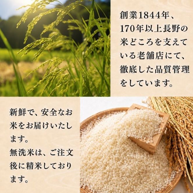 ミルキークイーン 無洗米 5kg 令和8年産 米 お米 5キロ 白米 精米 産地直送 こめ コメ おこめ 送料無料 長野 長野県 長野県産 小諸 小諸市