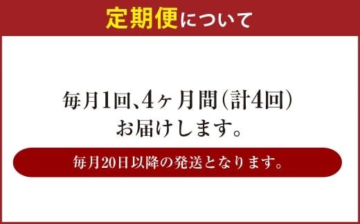 【4ヶ月定期便】アサヒ ザ・リッチ（合計96本）500ml×毎月1ケース（24本）=計4回お届け | アサヒビール 酒 お酒 ザ・リッチ 発泡酒 新ジャンル 第3のビール 缶 ギフト 内祝い 茨城県 守谷市 みらい mirai
