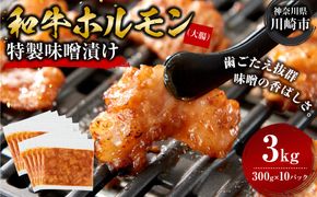 ＜訳アリ＞和牛ホルモン（大腸）　特製味噌漬け　3kg(300g×10）【12月発送】 【kw0096-0035-12】