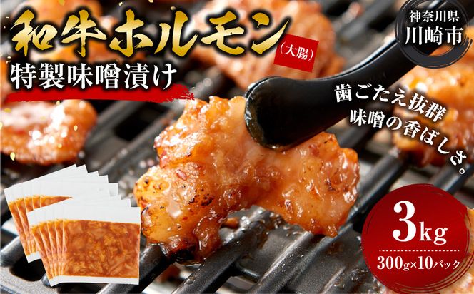 ＜訳アリ＞和牛ホルモン（大腸）　特製味噌漬け　3kg(300g×10）【12月発送】 【kw0096-0035-12】
