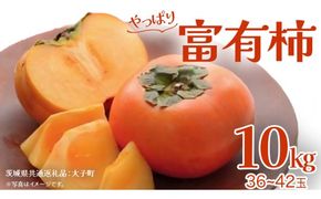 富有柿 約10kg (36～42玉)【2026年11月上旬発送開始】(茨城県共通返礼品：大子町) 柿 かき フルーツ 果物 秋の味覚 旬