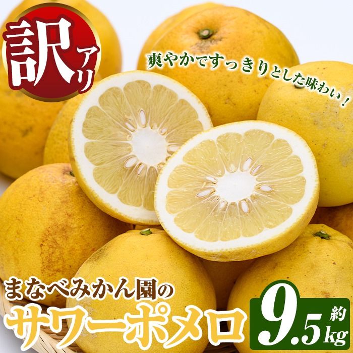 訳あり!まなべみかん園のサワーポメロ (約9.5kg) 国産 鹿児島県産 阿久根市産 柑橘類 みかん ミカン 蜜柑 果物 フルーツ サワーポメロ 期間限定 数量限定 デザート 訳アリ [有限会社まなべみかん園]akn034-08