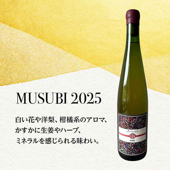 ふるさと納税限定セット 北海道仁木町 Domaine Bless醸造 白2本セット【Domaine Bless×naritaya】 お酒 酒 果実酒 晩酌 葡萄 ぶどう ブドウ 料理 食事 お祝い 北海道 仁木町 飲み比べ