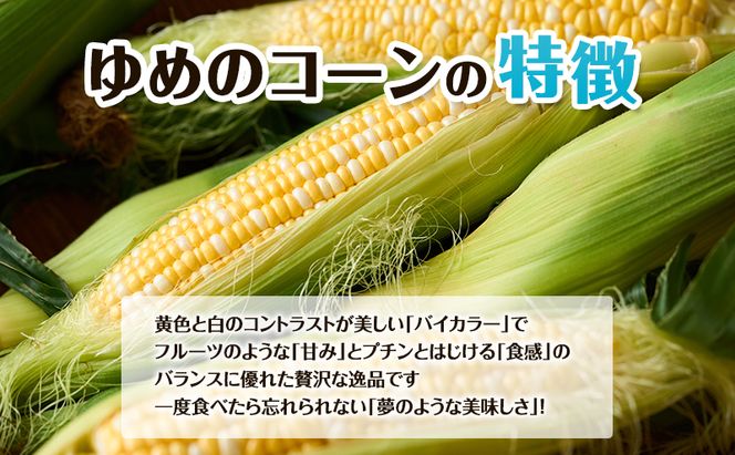 【2026年夏出荷】富良野産 とうもろこし ゆめのコーン 5本 L～LLサイズ 野菜 新鮮 直送 コーン とうきび 道産 北海道 幕田農園