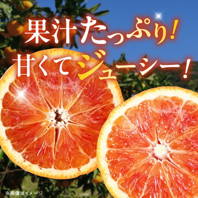 AB7373_Y_【直営限定】《先行予約・2027年3月発送》希少柑橘 ご家庭用 ブラッドオレンジ　サイズ混合/ご家庭用/2kg(傷み補償200g)