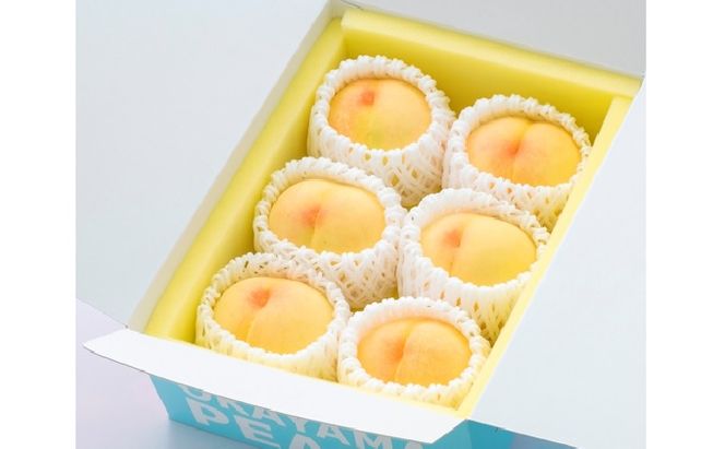 桃 2026年 先行予約 ご家庭用 岡山の 白桃 早生種 5～6玉 合計約1.3kg もも モモ 岡山県産 国産 フルーツ 果物 ギフト